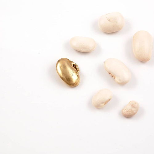 跨界藝術(shù)之旅 RCA珠寶創(chuàng)意思維暑期課程，釋放你的設(shè)計(jì)潛能